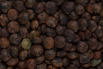 Brown lentils close up