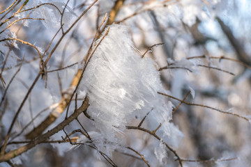 Raureif aus Eiskristallen zieren einen Zweig im Winter