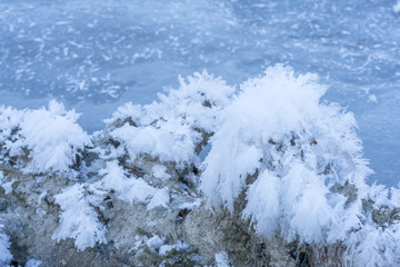 Morsches Treibgut mit winterlichen Eiskristallen eingefroren in einem Fluss