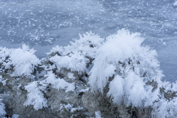 Alter Baumstamm mit winterlichem Raureif eingefroren in einem Fluss