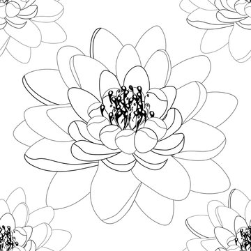 lotus flower Coloring seamless pattern.  illustration