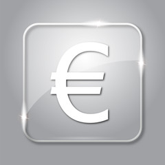 Euro icon