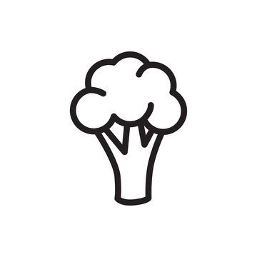 Cauliflower Icon Illustration