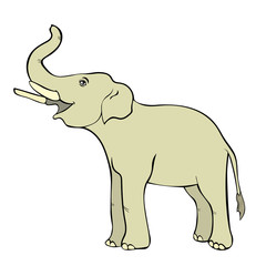 smiling the elephant sideways up the trunk.  illustration