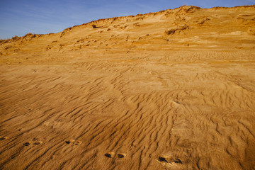 Beautiful view of sandy Grey (Dead) Dunes at the Curonian Spit in Neringa, Lithuania