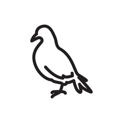dove icon illustration