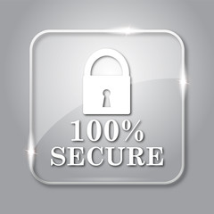 100 percent secure icon