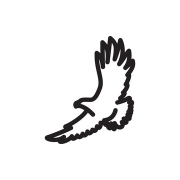 recommend clip art: eagle icon illustration