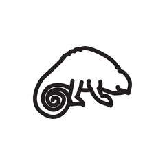 chameleon icon illustration