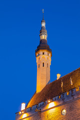 Fototapeta na wymiar City hall tower in Tallinn, Estonia. Night view.