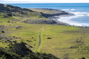 Naklejka premium Lost Coast