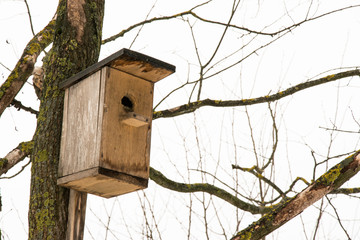 birdhouse