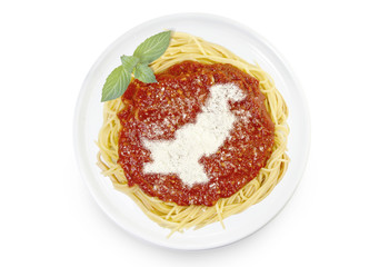 Dish of pasta with parmesan cheese shaped as Pakistan.(series)