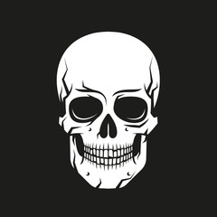 White skull in cartoon style on a black background. Vector illustration.