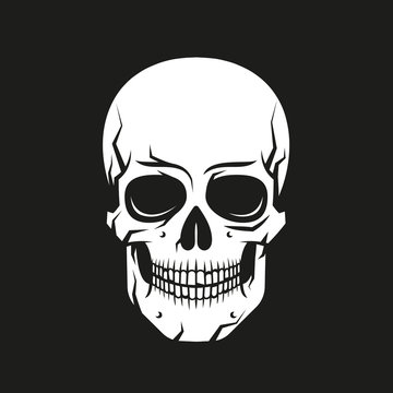 White skull in cartoon style on a black background. Vector illustration.