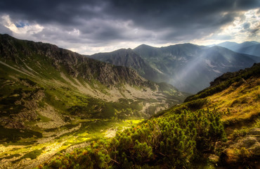 Tatra sunny valley © swen_stroop