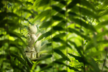Blurry of little bear in fern garden, background for Valentine's