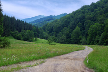 Fototapeta na wymiar Summer Carpathian landscape