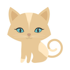 small kitten sitting blue eyes vector illustration eps 10