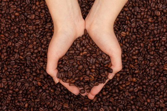 Coffee beans in women's hands on coffee beans background