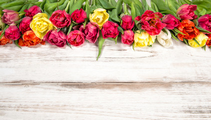 Spring tulip flowers wooden background