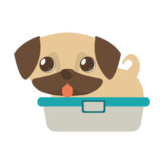 cute puppy little tongue out bathtub vector illustration eps 10