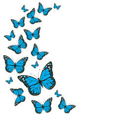 Fototapeta na wymiar vector blue vintage butterflies