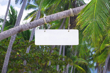 Wooden signboard © TheFarAwayKingdom