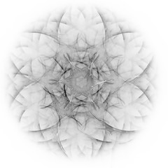 Ornament Design © D.Steindorfer 