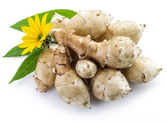 Jerusalem artichoke on a white background.