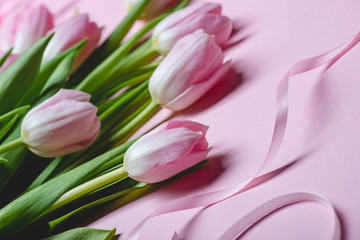 Pink tulips on paper background