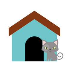 cat breed animal mammal colored house vector illusration eps 10