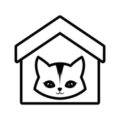 cat feline curious small house pet outline vector illustration eps 10