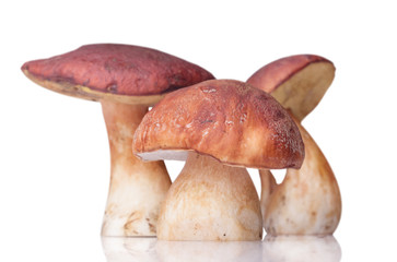 Three white mushrooms isolated