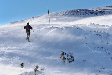 Fototapeta na wymiar Man doing a trekking in the mountains.Nordic walking.