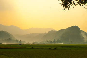 Hills in golden evening light
