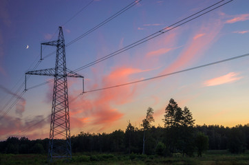 Fototapeta premium Electricity pylons on the field – sunset time shot.