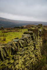 Green wall, Peak District National Park, UK © DawidDobosz