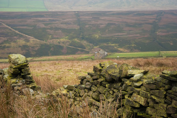 The nature of Peak District  © DawidDobosz