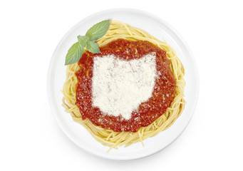 Dish of pasta with parmesan cheese shaped as Ohio.(series)