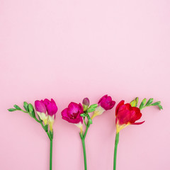 Freesia on background. Flat lay, Top view. Valentines Day background.