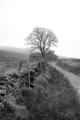 Black and white wall, Peak District National Park, UK © DawidDobosz