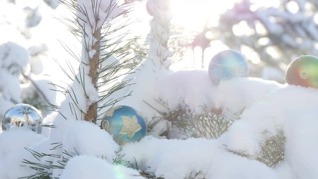 Christmas balls on a snowy fir branch in sunshine