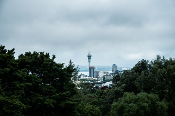 Obraz premium Scenic view of Auckland skyline in cool tones, New Zealand