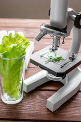 concept - check dietary supplements in laboratory on microscope