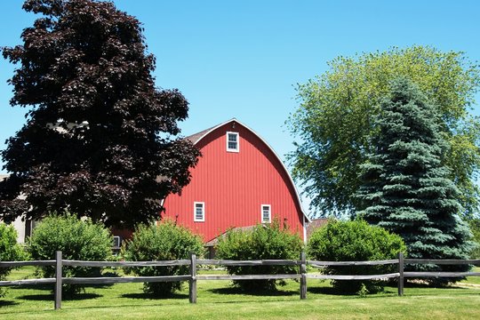 Barn and Trees