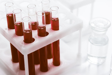 glass tubes with blood sample in stand no one