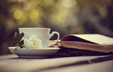 Old open books and a cup with a white wild rose