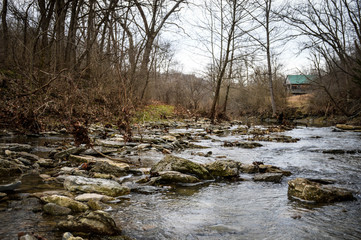 In the Creek