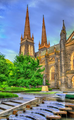 St Patrick's Cathedral in Melbourne, Australia © Leonid Andronov
